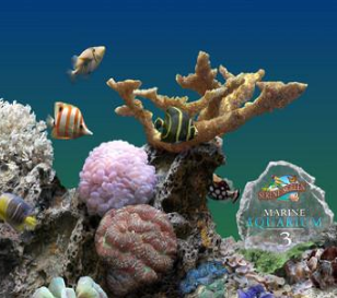 3D热带鱼水族箱屏幕保护